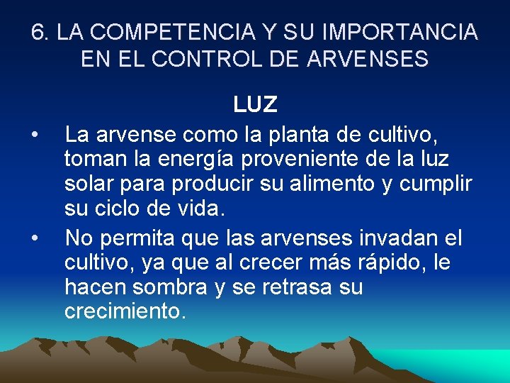 6. LA COMPETENCIA Y SU IMPORTANCIA EN EL CONTROL DE ARVENSES • • LUZ