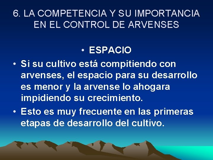 6. LA COMPETENCIA Y SU IMPORTANCIA EN EL CONTROL DE ARVENSES • ESPACIO •
