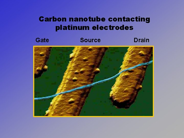Carbon nanotube contacting platinum electrodes Gate Source Drain 