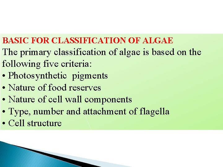 BASIC FOR CLASSIFICATION OF ALGAE The primary classification of algae is based on the