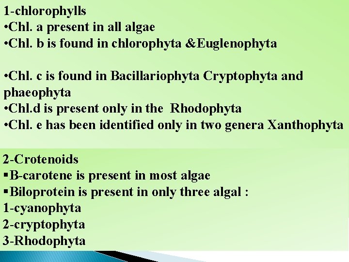 1 -chlorophylls • Chl. a present in all algae • Chl. b is found 1 -chlorophylls • Chl. a present in all algae • Chl. b is found