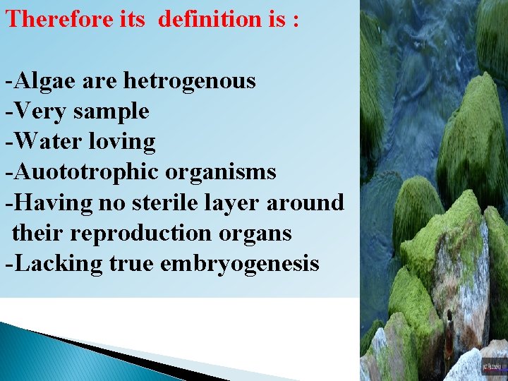 Therefore its definition is : -Algae are hetrogenous -Very sample -Water loving -Auototrophic organisms