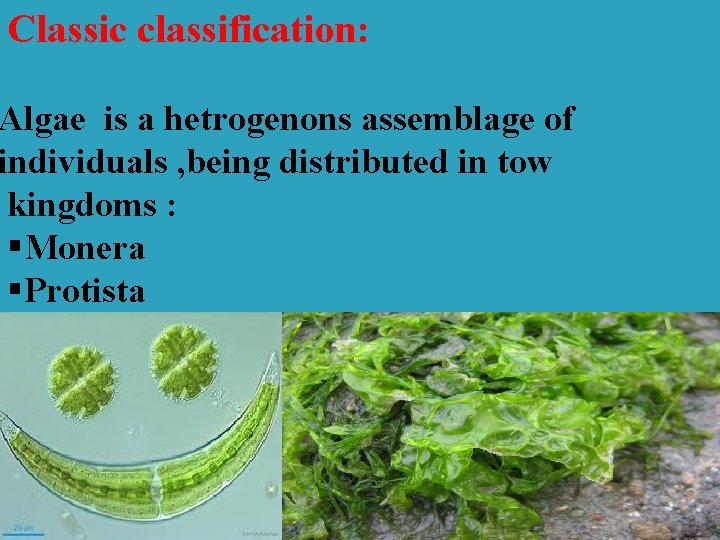 Classic classification: Algae is a hetrogenons assemblage of individuals , being distributed in tow
