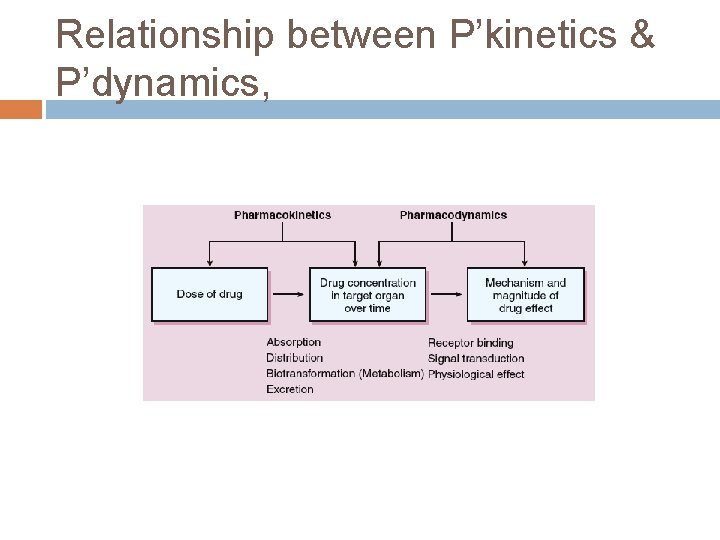 Relationship between P’kinetics & P’dynamics,  Relationship between P’kinetics & P’dynamics,