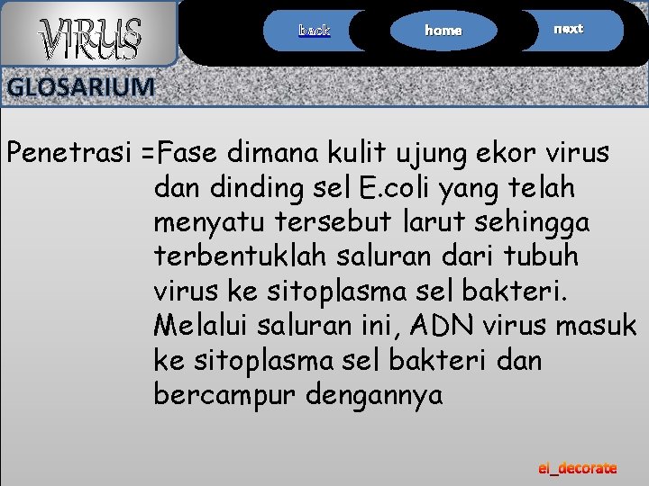 VIRUS back home next GLOSARIUM Penetrasi =Fase dimana kulit ujung ekor virus dan dinding