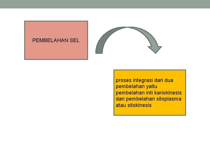 PEMBELAHAN SEL proses integrasi dari dua pembelahan yaitu pembelahan inti kariokinesis dan pembelahan sitoplasma