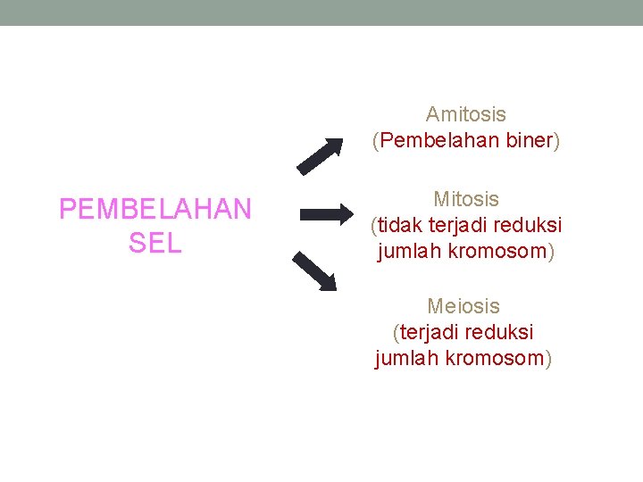 Amitosis (Pembelahan biner) PEMBELAHAN SEL Mitosis (tidak terjadi reduksi jumlah kromosom) Meiosis (terjadi reduksi