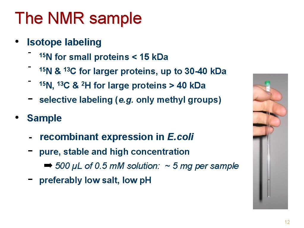 The NMR sample • Isotope labeling - - 15 N for small proteins <