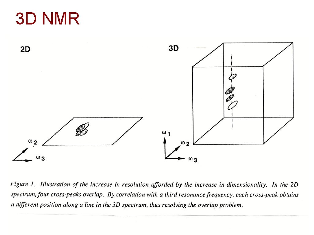3 D NMR 19 