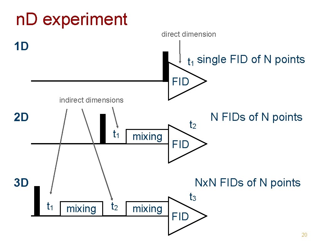 n. D experiment direct dimension 1 D t 1 single FID of N points