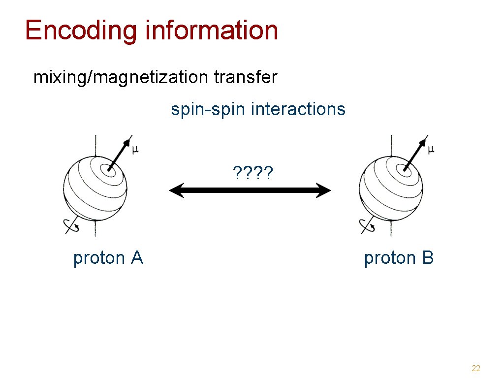 Encoding information mixing/magnetization transfer spin-spin interactions ? ? proton A proton B 22 