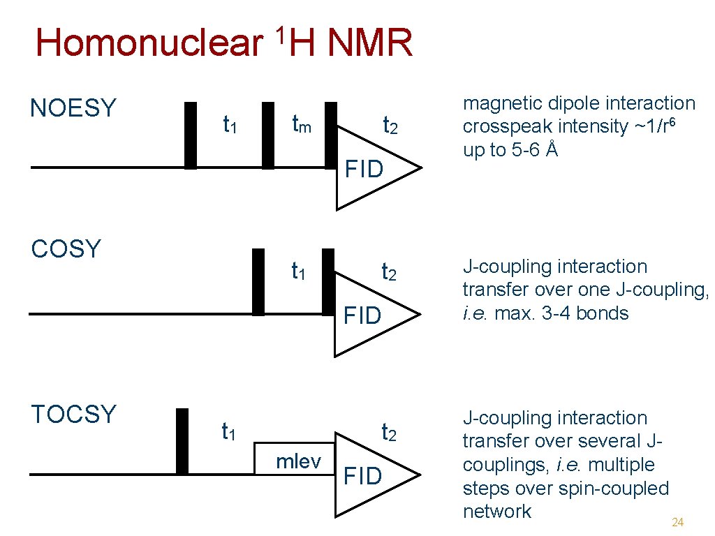 Homonuclear NOESY t 1 1 H NMR tm t 2 FID COSY t 1