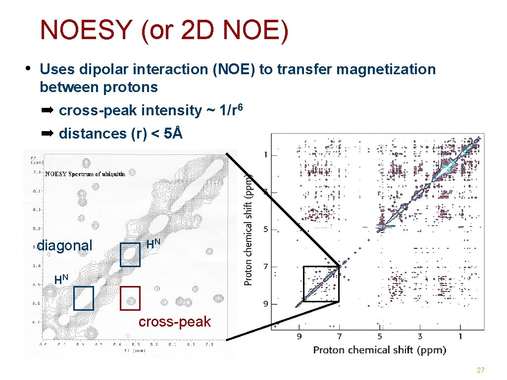NOESY (or 2 D NOE) • Uses dipolar interaction (NOE) to transfer magnetization between