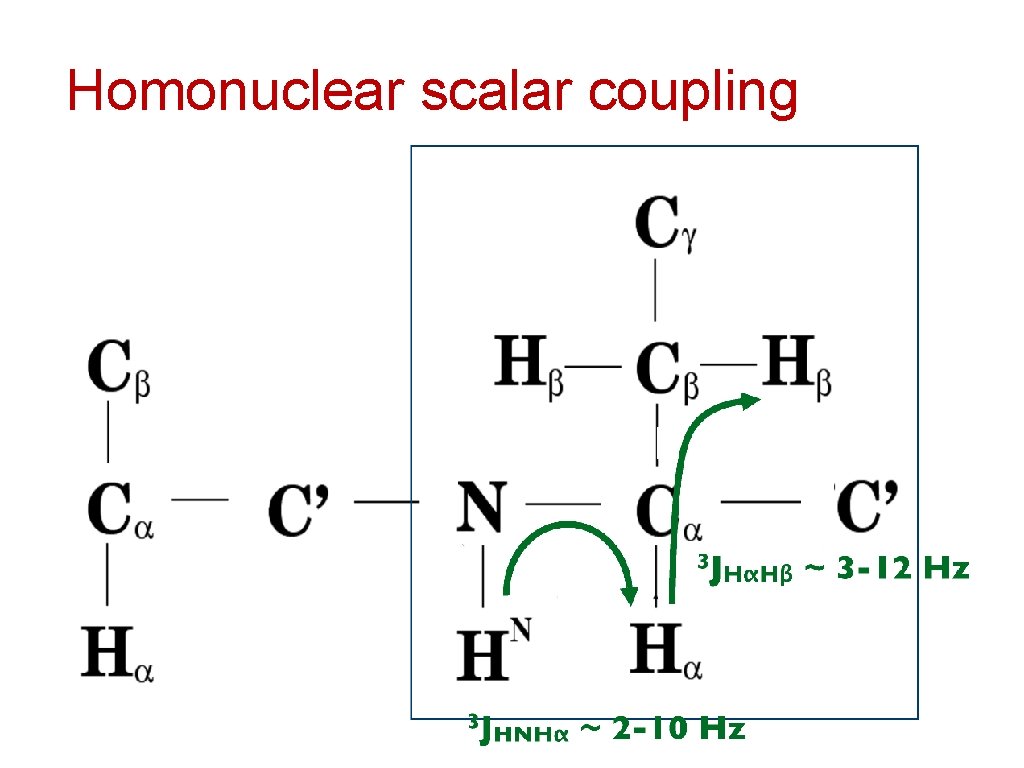 Homonuclear scalar coupling 