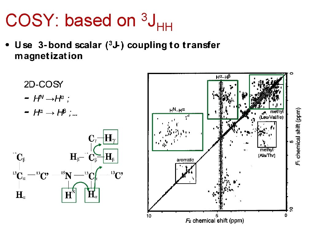 COSY: based on 3 J HH 