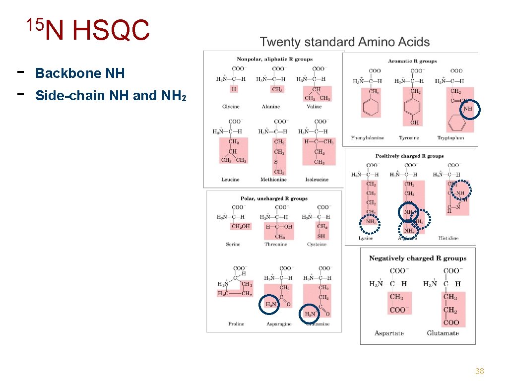 15 N - HSQC Backbone NH Side-chain NH and NH 2 38 