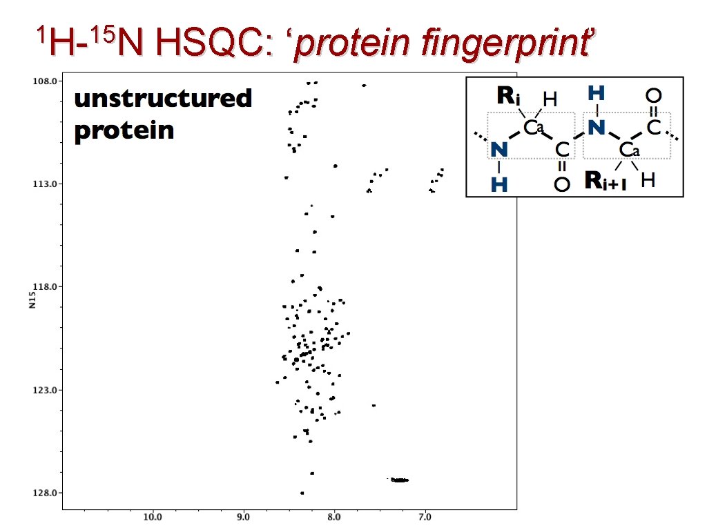 1 H-15 N H- N HSQC: ‘protein fingerprint’ 40 