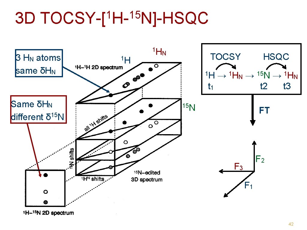 3 D 1 15 TOCSY-[ H- N]-HSQC 3 HN atoms same δHN Same δHN