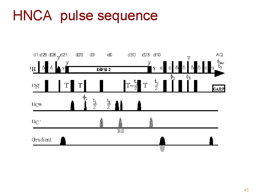 HNCA pulse sequence 45 
