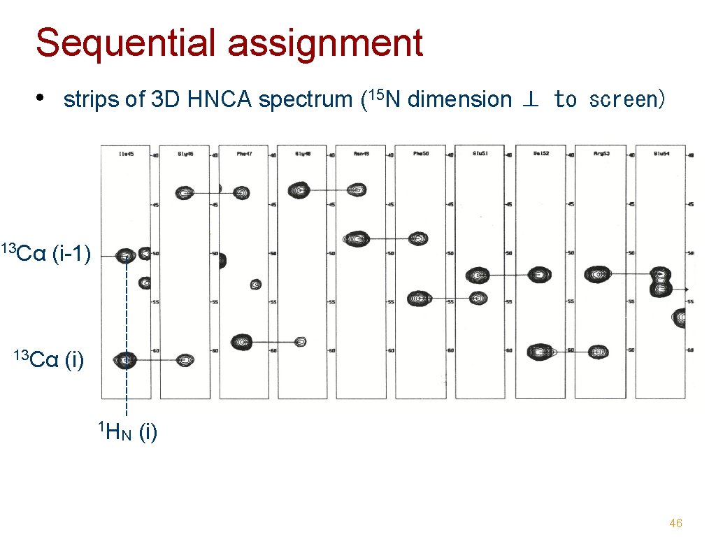 Sequential assignment • strips of 3 D HNCA spectrum (15 N dimension ⊥ to