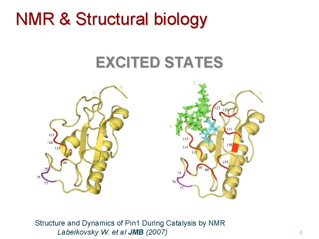 NMR & Structural biology EXCITED STATES Structure and Dynamics of Pin 1 During Catalysis