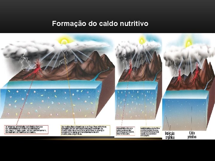 Formação do caldo nutritivo 