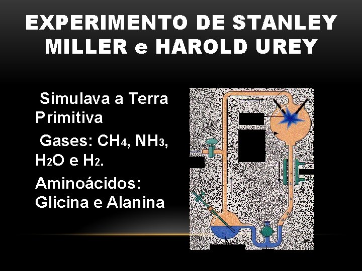 EXPERIMENTO DE STANLEY MILLER e HAROLD UREY Simulava a Terra Primitiva Gases: CH 4,