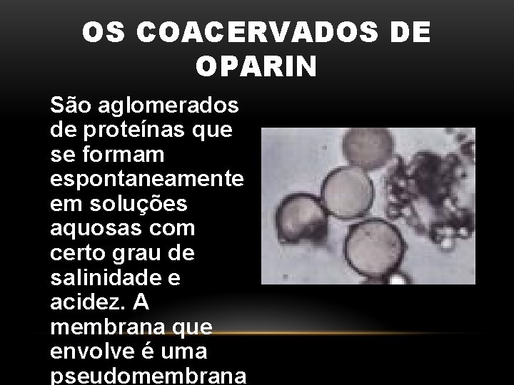 OS COACERVADOS DE OPARIN São aglomerados de proteínas que se formam espontaneamente em soluções