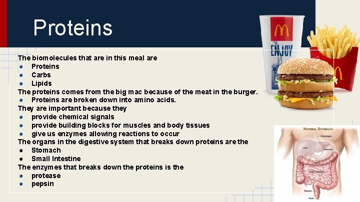 Proteins The biomolecules that are in this meal are ● Proteins ● Carbs ●