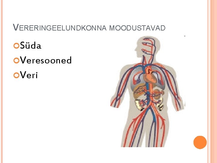 VERERINGEELUNDKONNA MOODUSTAVAD Süda Veresooned Veri 