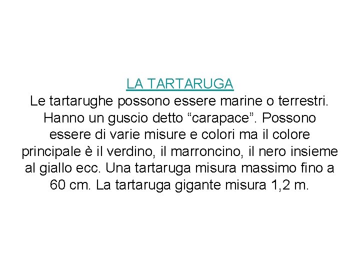 LA TARTARUGA Le tartarughe possono essere marine o terrestri. Hanno un guscio detto “carapace”.