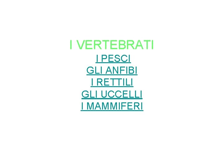 I VERTEBRATI I PESCI GLI ANFIBI I RETTILI GLI UCCELLI I MAMMIFERI 