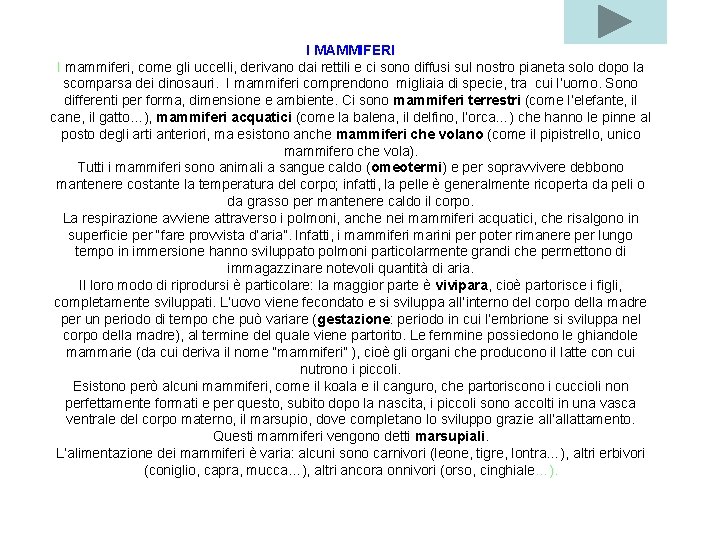 I MAMMIFERI I mammiferi, come gli uccelli, derivano dai rettili e ci sono diffusi