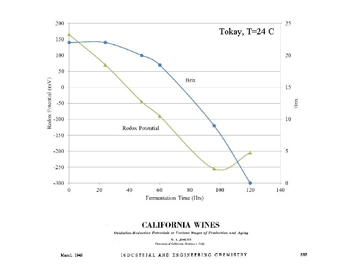 Tokay, T=24 C 