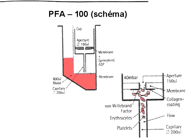 PFA – 100 (schéma) 