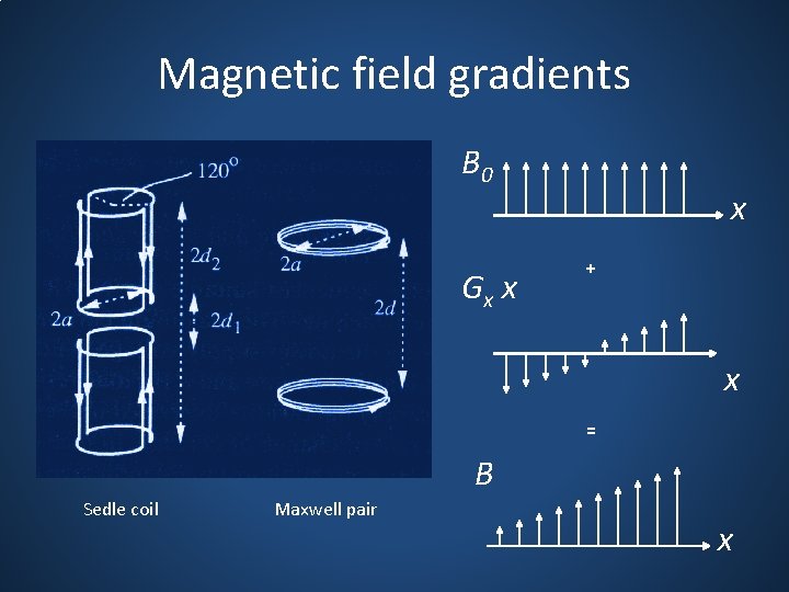 Magnetic field gradients B 0 Gx x x + x = B Sedle coil