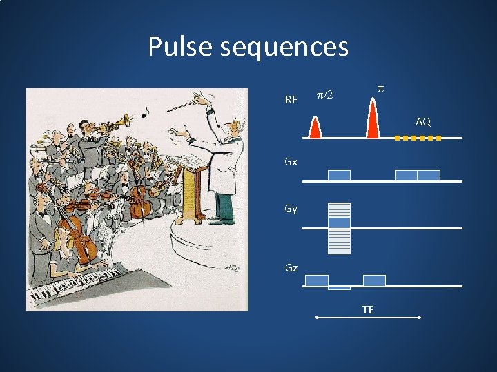Pulse sequences RF p p/2 AQ Gx Gy Gz TE 