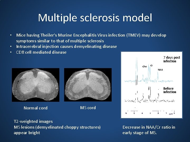 Multiple sclerosis model • Mice having Theiler’s Murine Encephalitis Virus infection (TMEV) may develop