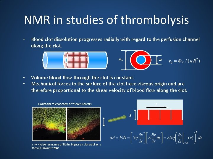 NMR in studies of thrombolysis • Blood clot dissolution progresses radially with regard to