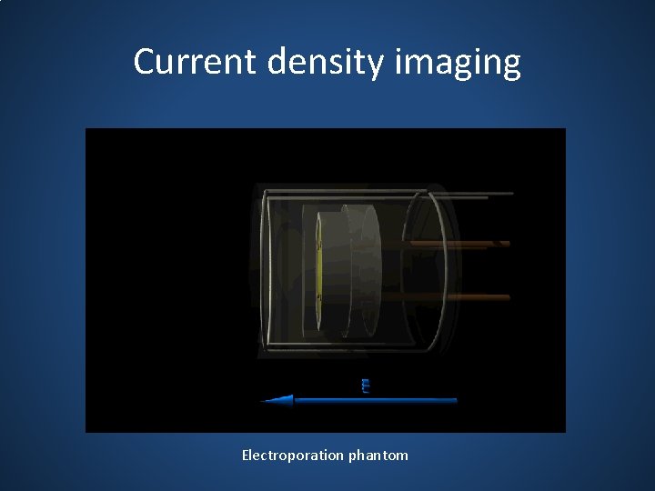 Current density imaging Electroporation phantom 