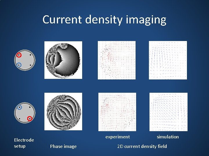 Current density imaging Electrode setup experiment Phase image simulation 2 D current density field