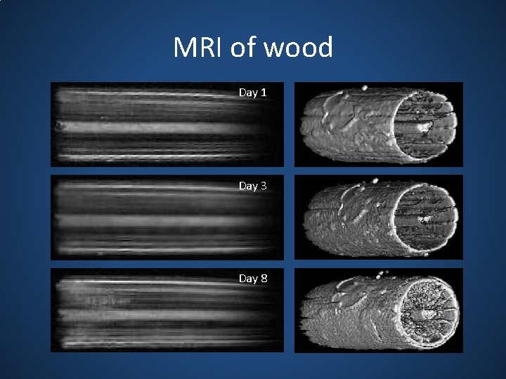 MRI of wood Day 1 Day 3 Day 8 