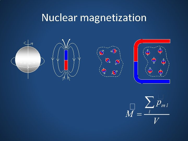 Nuclear magnetization 