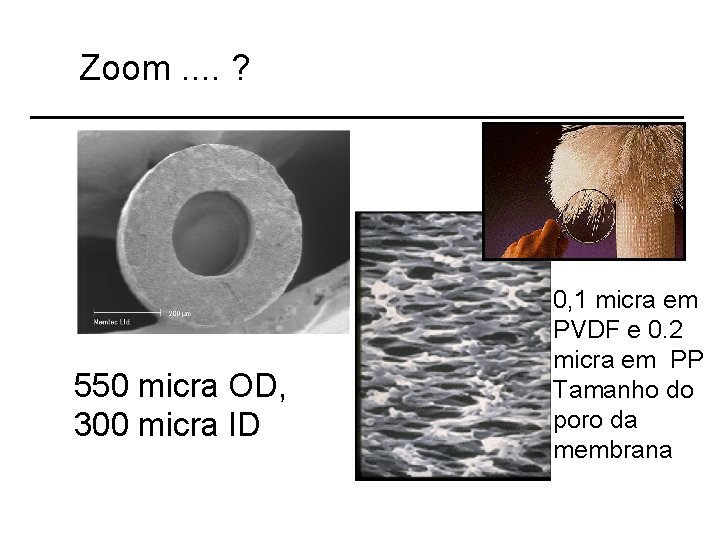 Zoom. . ? 550 micra OD, 300 micra ID 0, 1 micra em PVDF