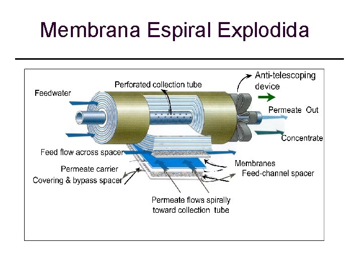 Membrana Espiral Explodida 