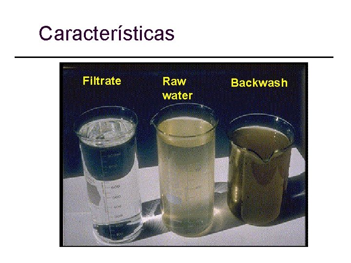 Características Filtrate Raw water Backwash 