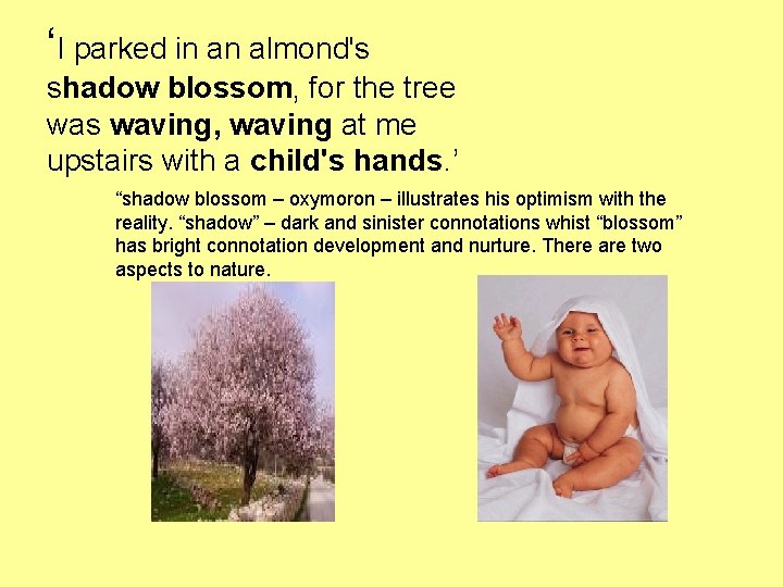 ‘I parked in an almond's shadow blossom, for the tree was waving, waving at ‘I parked in an almond's shadow blossom, for the tree was waving, waving at