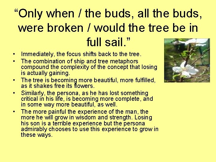 “Only when / the buds, all the buds, were broken / would the tree “Only when / the buds, all the buds, were broken / would the tree