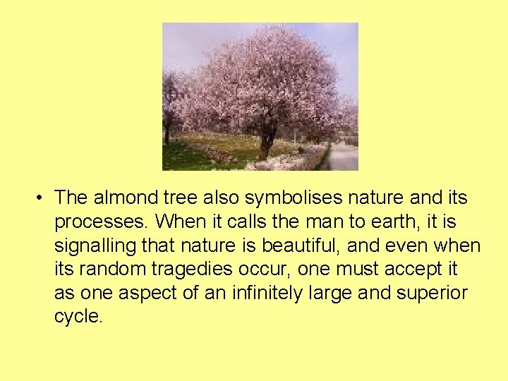 • The almond tree also symbolises nature and its processes. When it calls • The almond tree also symbolises nature and its processes. When it calls