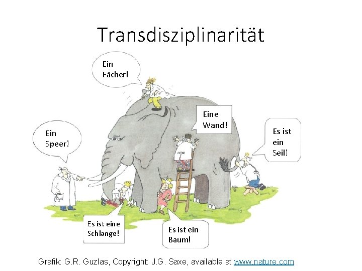Transdisziplinarität Ein Fächer! Eine Wand! Ein Speer! Es ist eine Schlange! Es ist ein